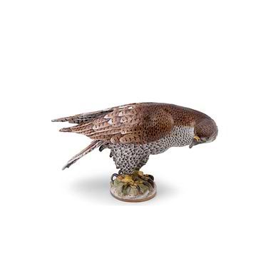 Ludwigsburg Porcelain Sparrowhawk, 20th Century