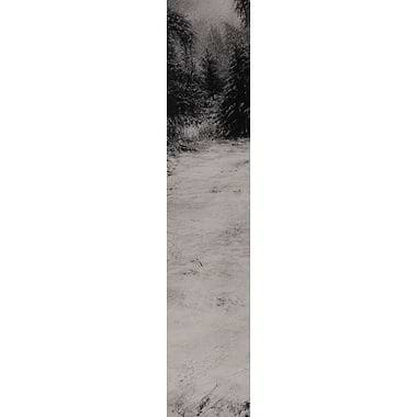 Birnam Tree in Snow by Philip Edwards