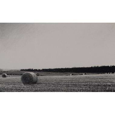 Harvest Time in Scone by Philip Edwards