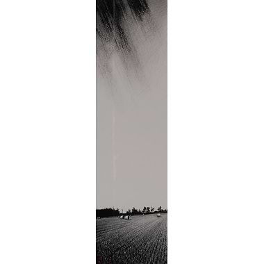 Hay Bales and Furrows by Philip Edwards