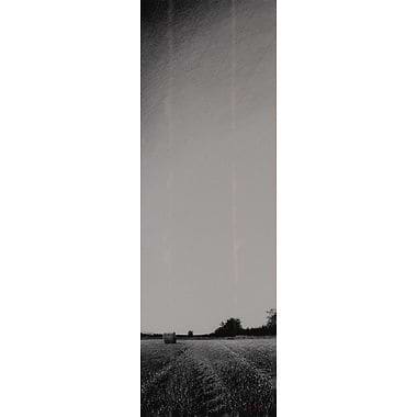 The Last Hay Bale by Philip Edwards