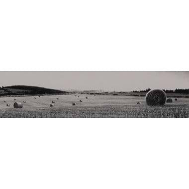 The Perfect Hay Bale, Perthshire by Philip Edwards