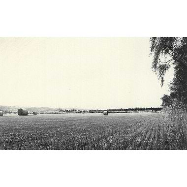 September Balling by Philip Edwards