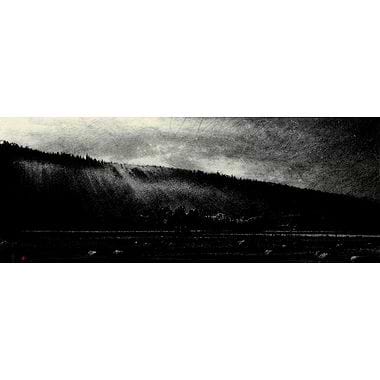 Out of the Cloud XXXI, Big Tree Country by Philip Edwards