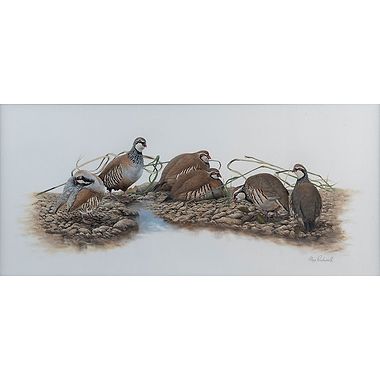 French Partridges by Glyn Rushworth