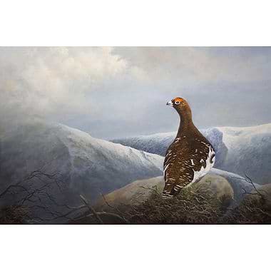Ptarmigan by Glyn Rushworth