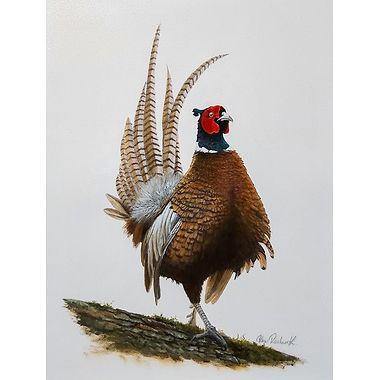 A Jaunty Wee Fellow  by Glyn Rushworth