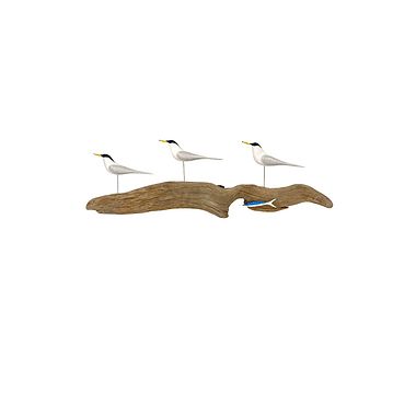 Little Terns with Wee Mackerel by  Michael Lythgoe