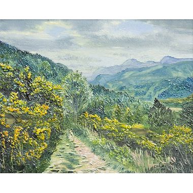 Balmacara Gorse by Gill Williams