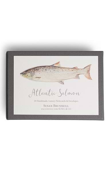 Pack of 20 Susel & Co. Fine Art Handmade Notecards