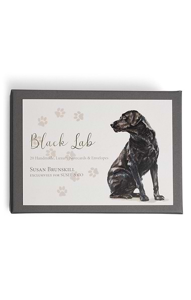 Pack of 20 Susel & Co. Fine Art Handmade Notecards