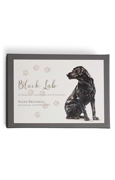 Pack of 20 Susel & Co. Fine Art Handmade Notecards