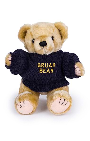 Benji The Bruar Bear