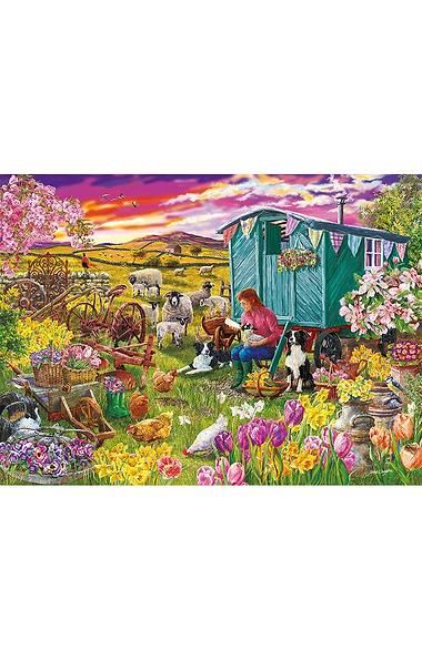 1000 Piece Jigsaw