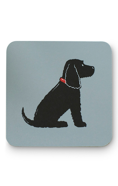 Dog Coaster