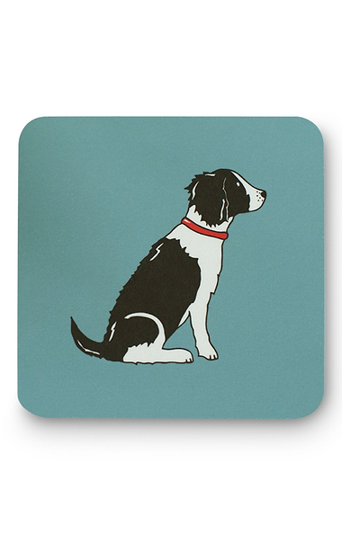 Dog Coaster