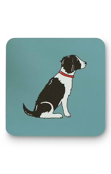 Dog Coaster