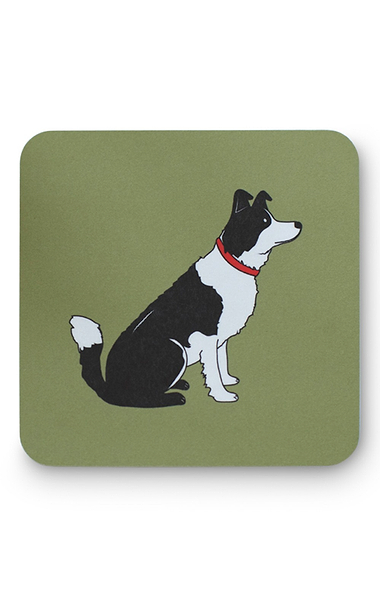 Dog Coaster