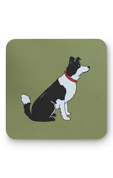 Dog Coaster