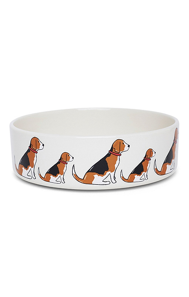 Ceramic Dog Bowl