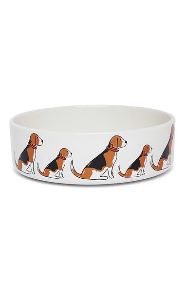 Ceramic Dog Bowl