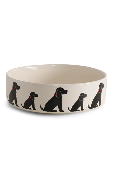 Ceramic Dog Bowl