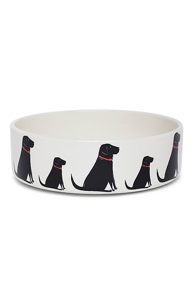 Ceramic Dog Bowl