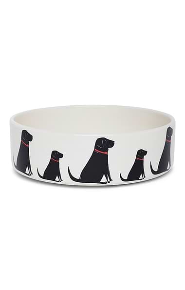 Ceramic Dog Bowl