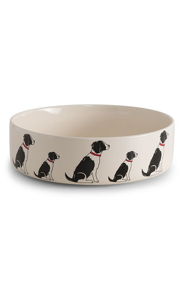 Ceramic Dog Bowl