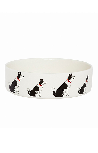 Ceramic Dog Bowl