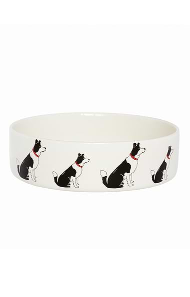 Ceramic Dog Bowl