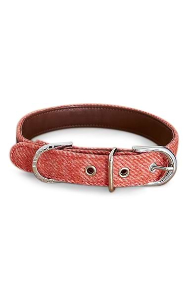 Tweed Dog Collar