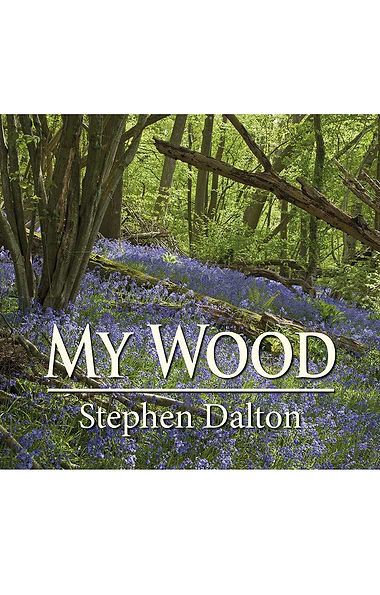 My Wood by Stephen Dalton