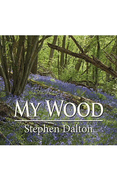 My Wood by Stephen Dalton