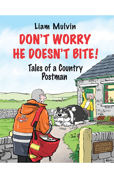 Don't Worry He Doesn't Bite by Liam Mulvin
