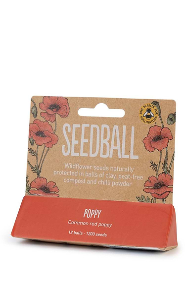 Seedball Tin