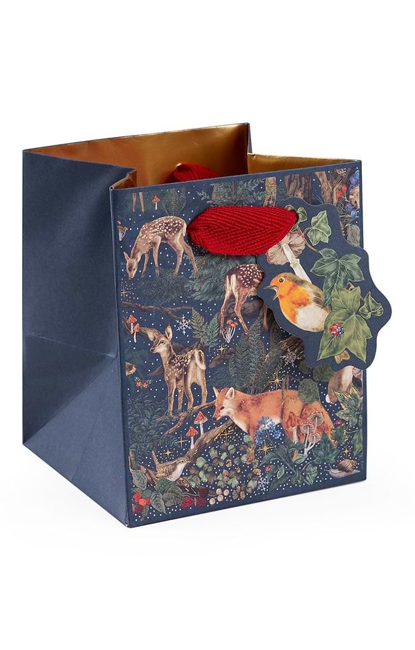 Small Square Christmas Gift Bag