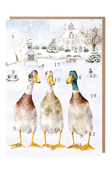 Christmas Advent Calendar