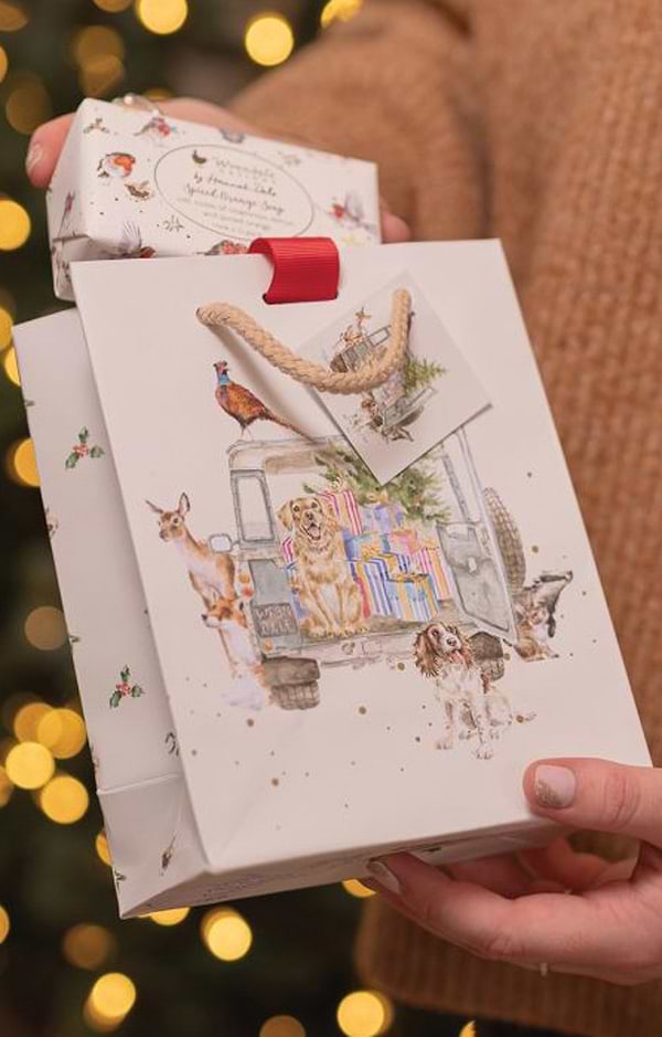 Festive Small Animal Gift Bag