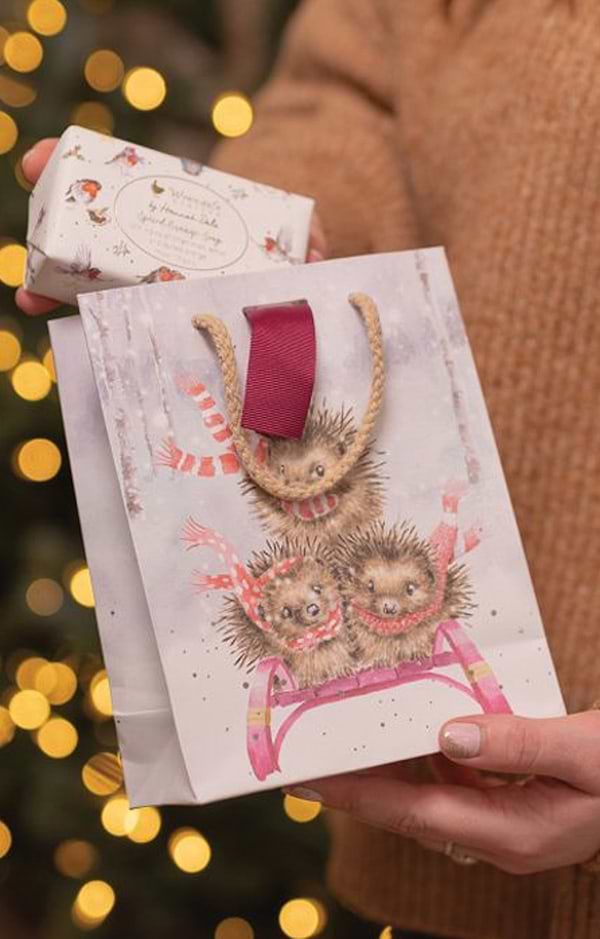 Festive Small Animal Gift Bag