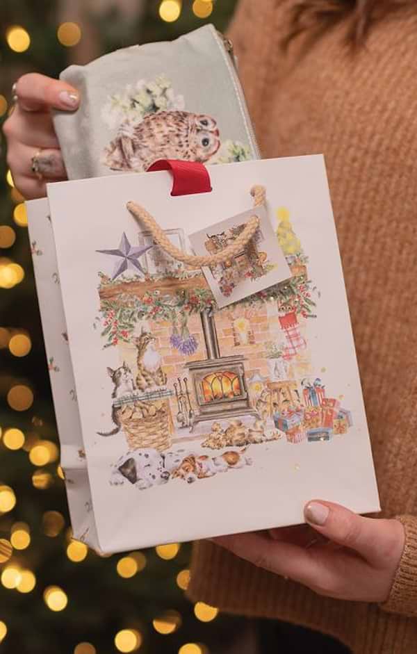 Festive Medium Gift Bag