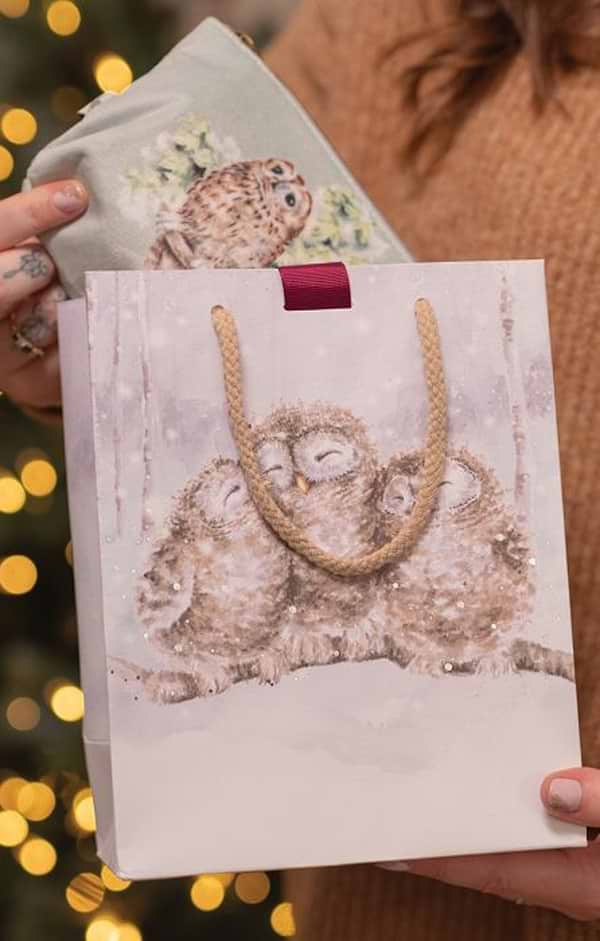 Festive Medium Gift Bag