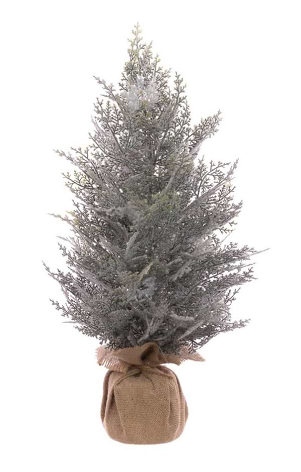 Snowy Ceder Tree