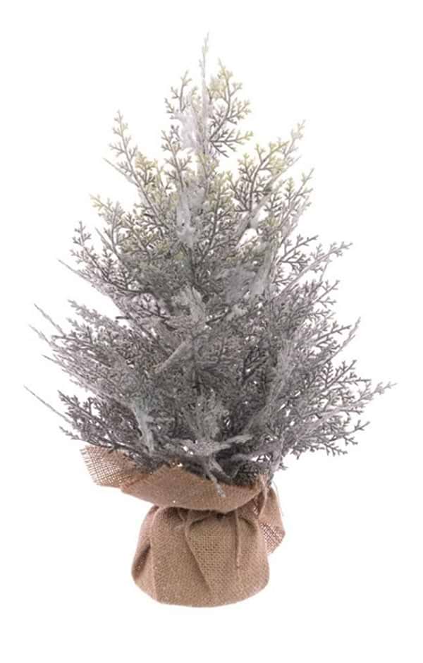 Snowy Ceder Tree