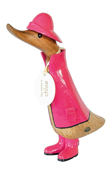 Raincoat Duck