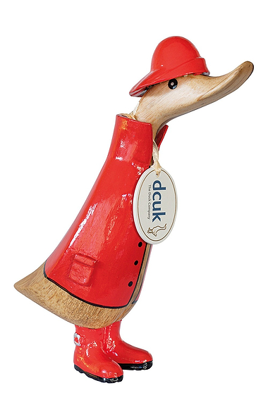 Raincoat Duck