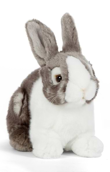 Pet Rabbit Soft Toy