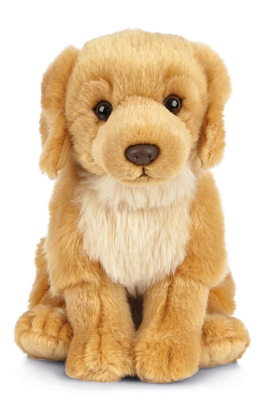 Golden Retriever Soft Toy