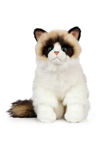 Ragdoll Cat Soft Toy
