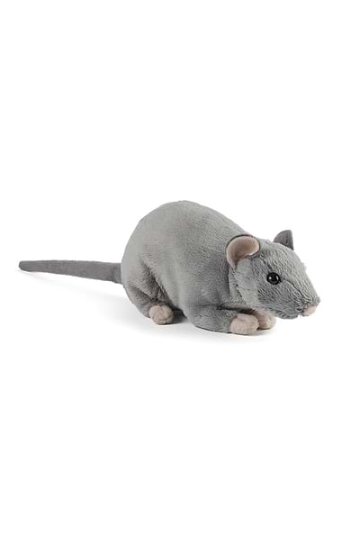Cuddy Rat Toy with Squeak